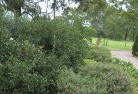 Burswoodresidential-landscaping-35.jpg; ?>