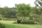 Burswoodresidential-landscaping-40.jpg; ?>